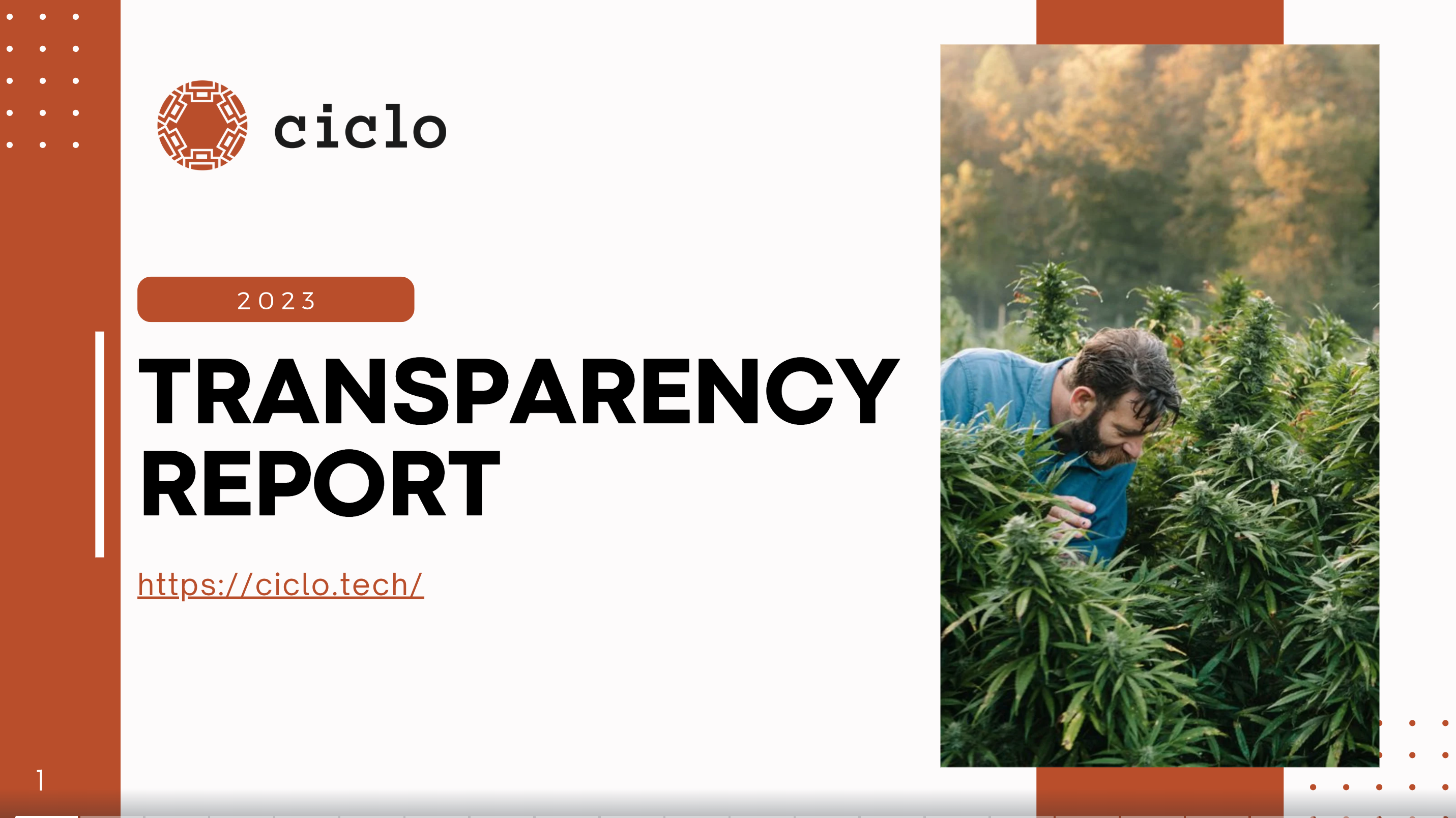 transparency report